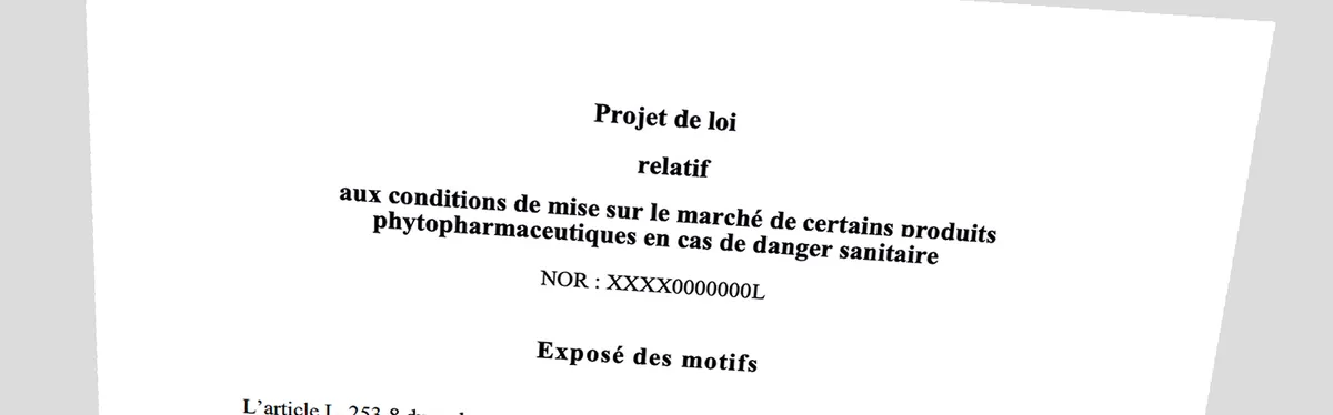Info Contexte - Le projet de loi sur les néonicotinoïdes et son étude d’impact