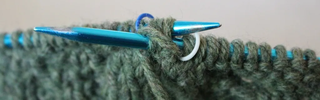 Le projet de loi Convention citoyenne à l’épreuve des institutions