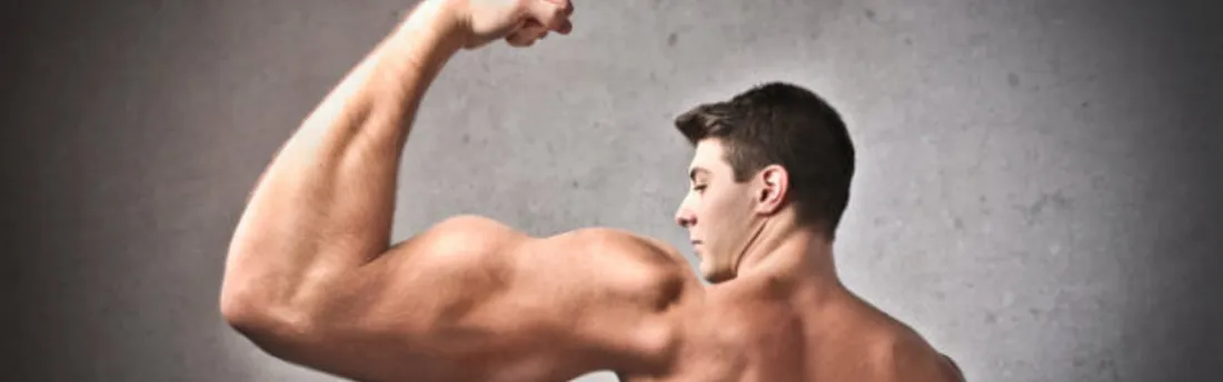 Concessions d’autoroutes : le Sénat appelle à un sursaut de l’État