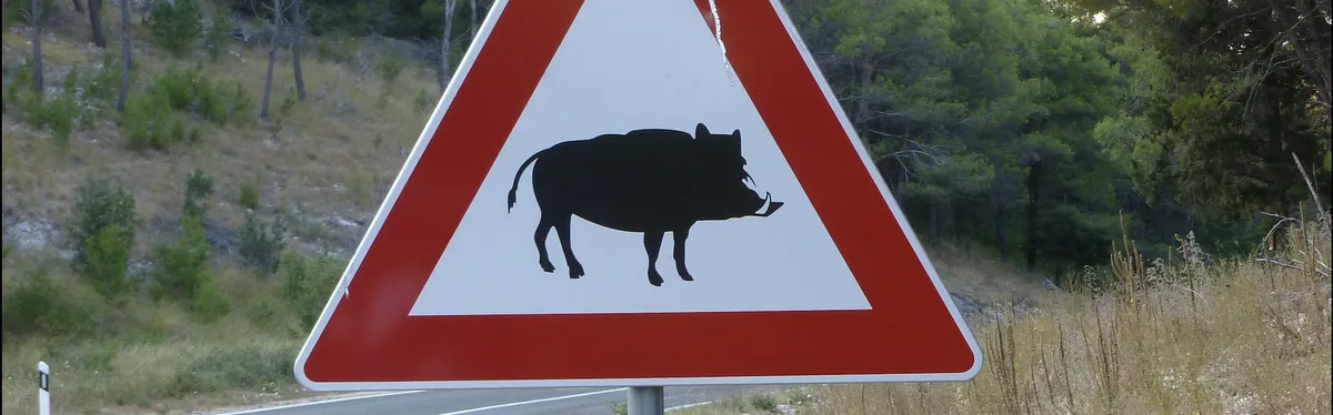 Dégâts de gibier : la secrétaire d’État à la Biodiversité aux prises avec un arbitrage compliqué 