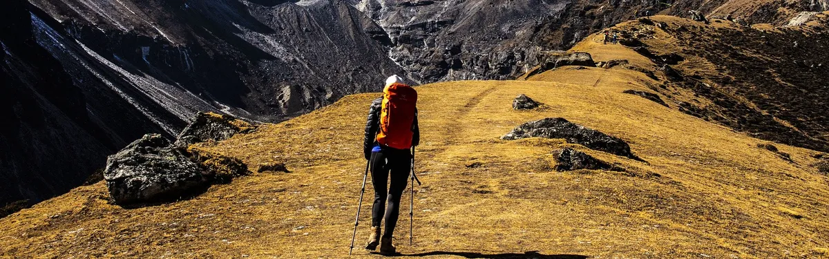 La publicité ciblée, dernier caillou dans la chaussure du Parlement sur le Digital Markets Act