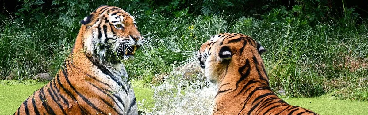 Parlement et Conseil, deux positions antagonistes sur le règlement e-privacy