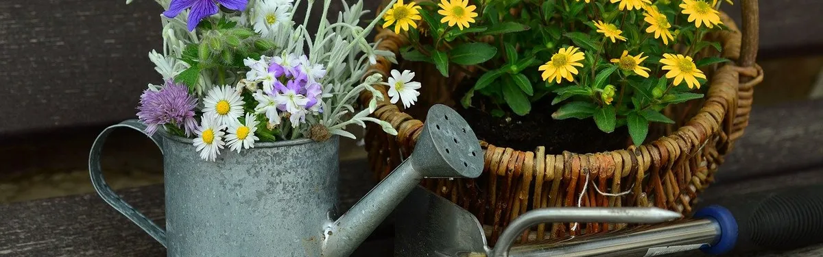 L’apport de la tech aux objectifs verts, deux ans pour écrire des indicateurs concrets