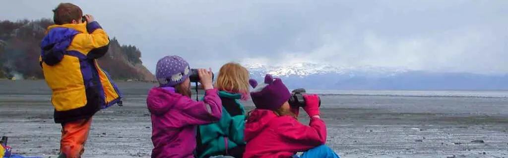 Projet de loi Convention citoyenne : la filière renouvelable en alerte sur l’artificialisation