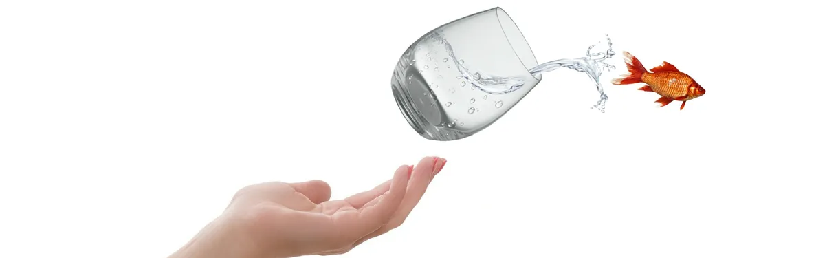 Taxonomie de l’investissement vert : quand Bruxelles perd le contrôle