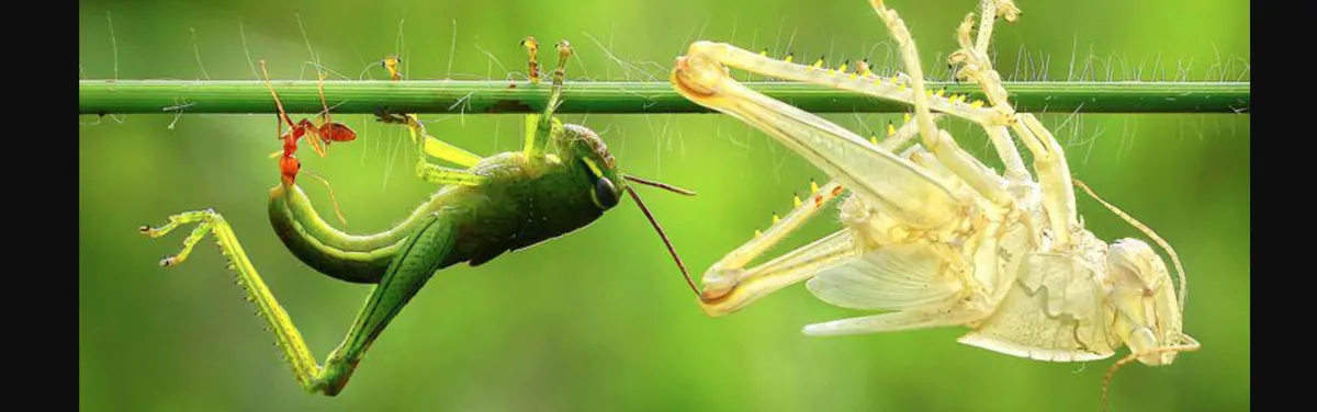 À la Commission européenne, la grande mue de la DG Énergie