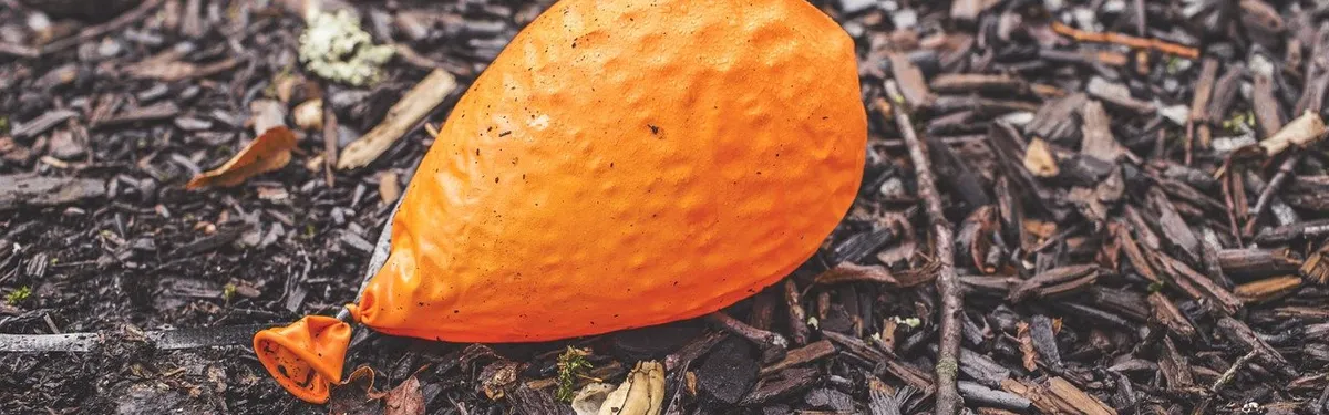 Écocide : comment la montagne politique a accouché d’une souris juridique