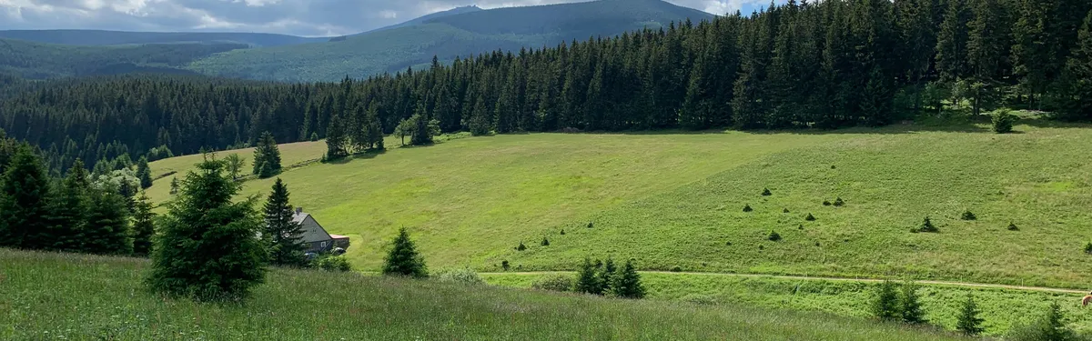 Second pilier de la PAC : les premières propositions a minima de l’État