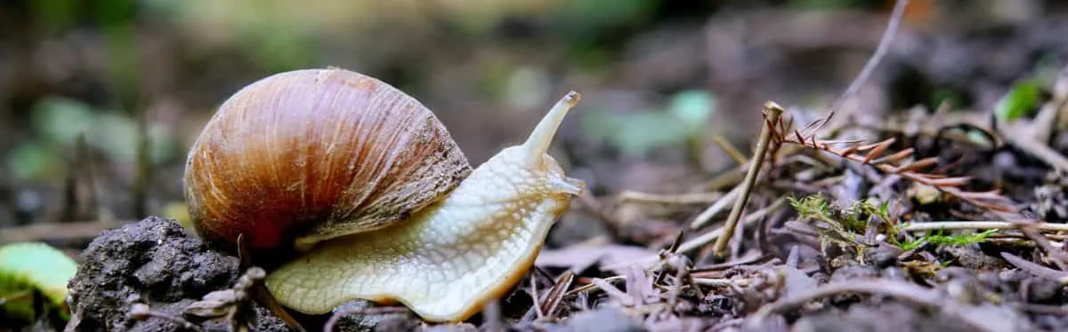 Le gouvernement se hâte lentement d’inciter à la sanctuarisation volontaire d’espaces naturels