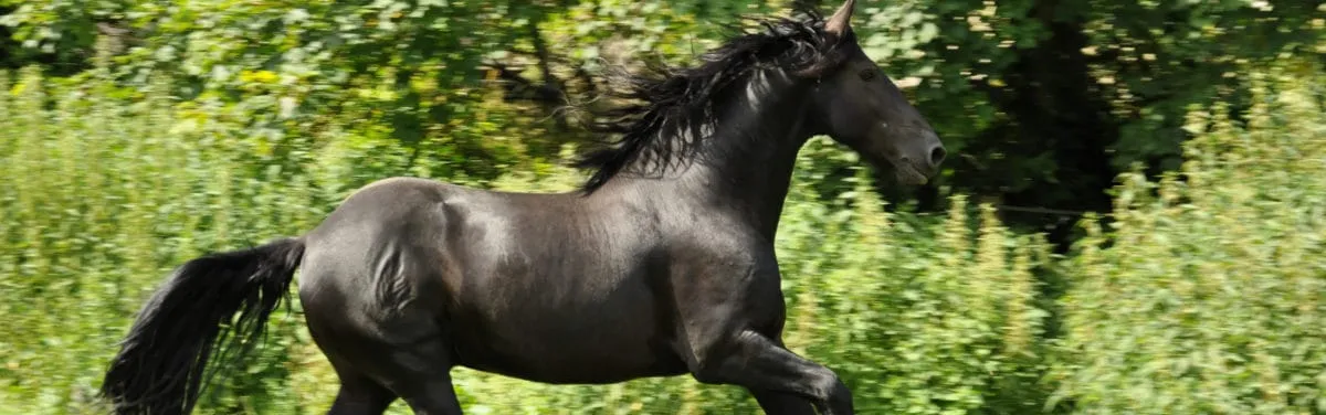 Les écosystèmes industriels, le dada de Thierry Breton