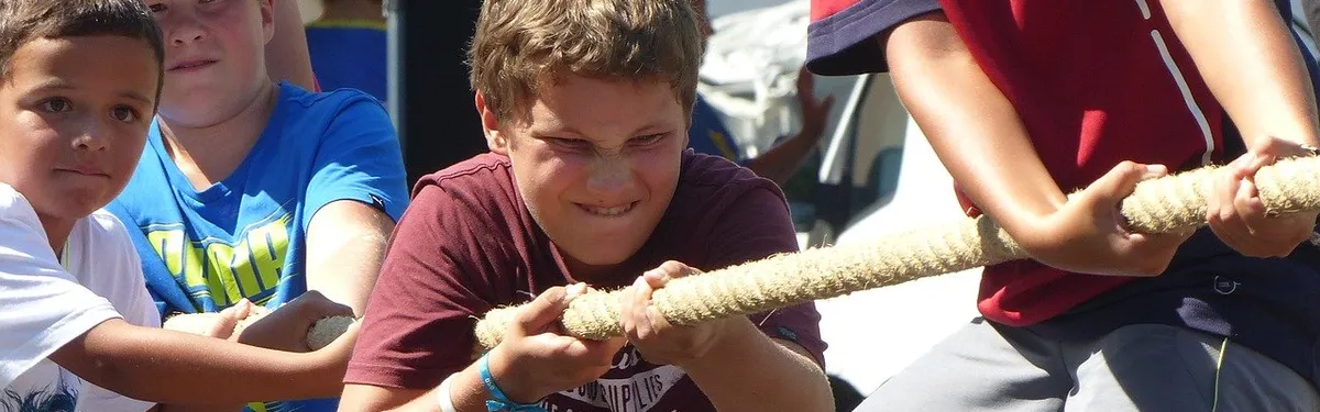 Document Contexte - La Commission face aux volontés de régulation nationale des plateformes dans le DSA