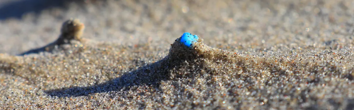 Pollution : la France lancée dans une chasse symbolique aux microplastiques industriels