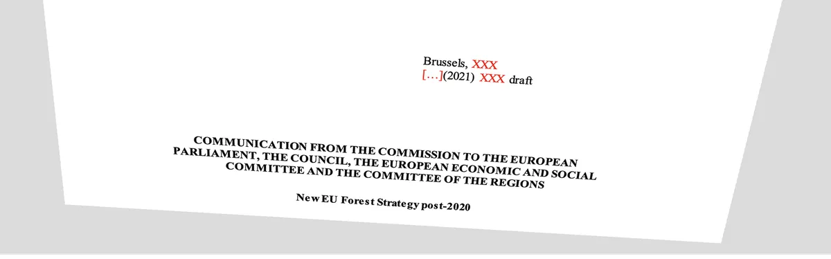 Document - Le projet de stratégie de la Commission pour protéger et restaurer les forêts européennes