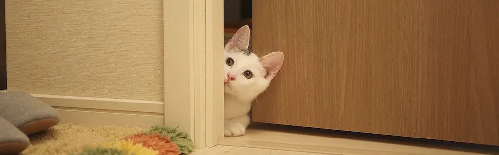 Comment et pourquoi le secteur de l’énergie s’intéresse à l’échelon régional