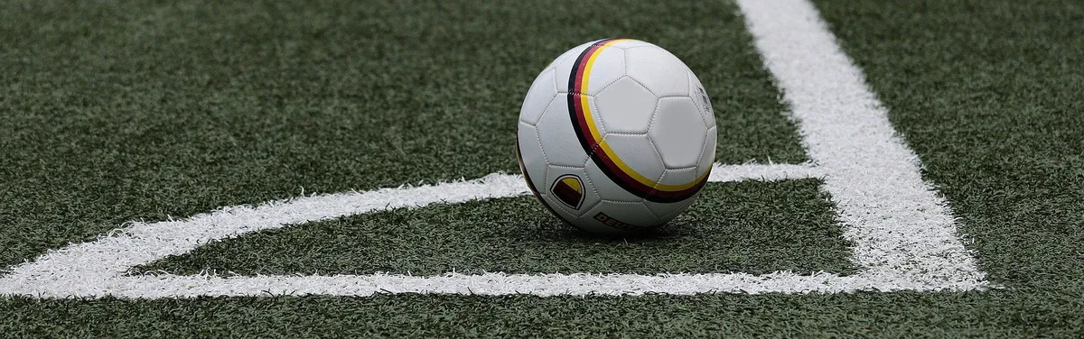 Projet de loi Convention citoyenne : le Sénat imprime sa patte sur le volet « énergies renouvelables »