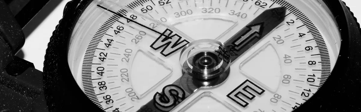 Présidentielle : les Verts en quête d’un nouveau souffle numérique