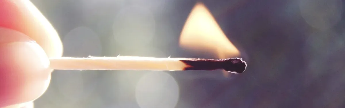 Info Contexte - Forêts : la lettre, signée par la France, qui met la Commission européenne dans l’embarras