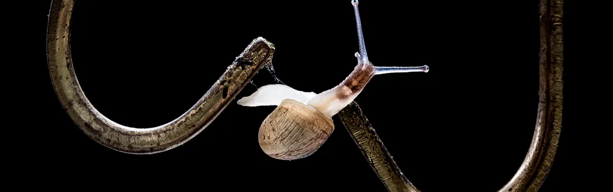 Présidentielle : ONG et syndicats s’échinent à voguer ensemble de plus belle