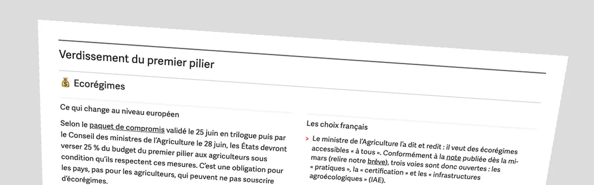 Plan stratégique national : les choix français