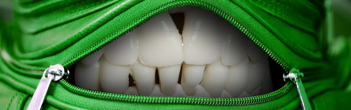 Le Défenseur de l’environnement, une autorité indépendante dans la besace du futur candidat Macron