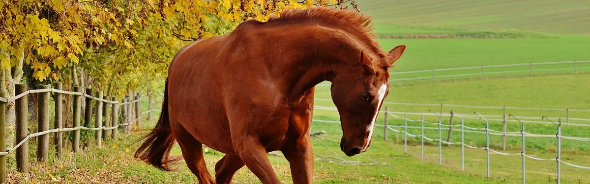 Gestion des risques : ce sur quoi renâclent les agriculteurs, les assureurs et l’État