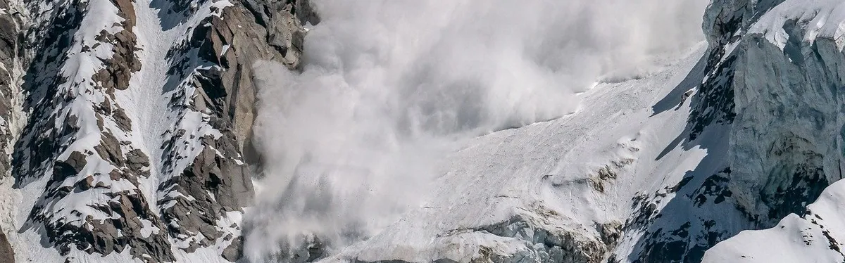 Documents - Avalanche d’amendements sur le Digital Services Act en commission au fond