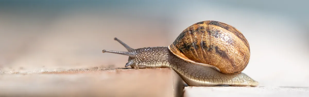 Paquet climat : la fin du début, mais pas le début de la fin