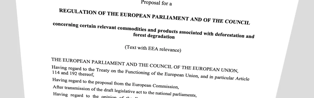 Info Contexte - Comment la Commission européenne envisage de freiner la déforestation importée