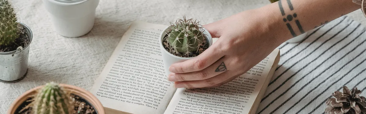 Prix de l’énergie : une épine dans le pied du paquet climat