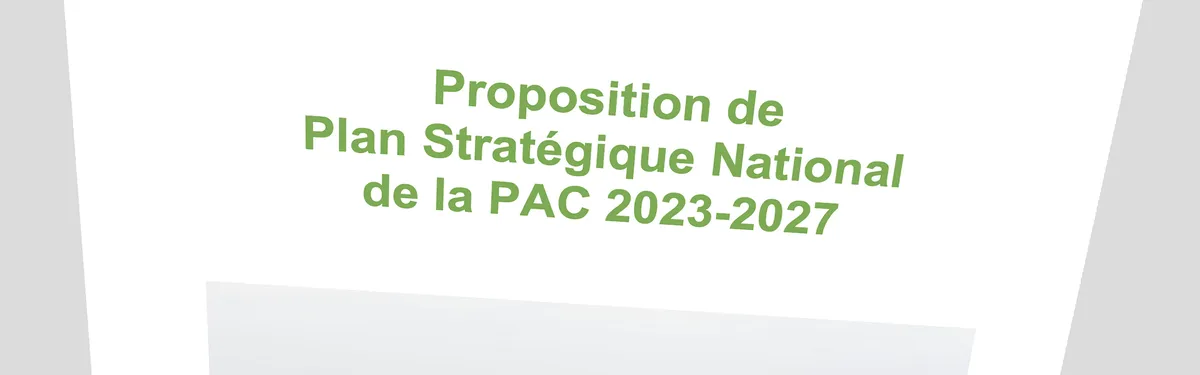 Info Contexte - La dernière version du plan stratégique national envoyée par la France à Bruxelles