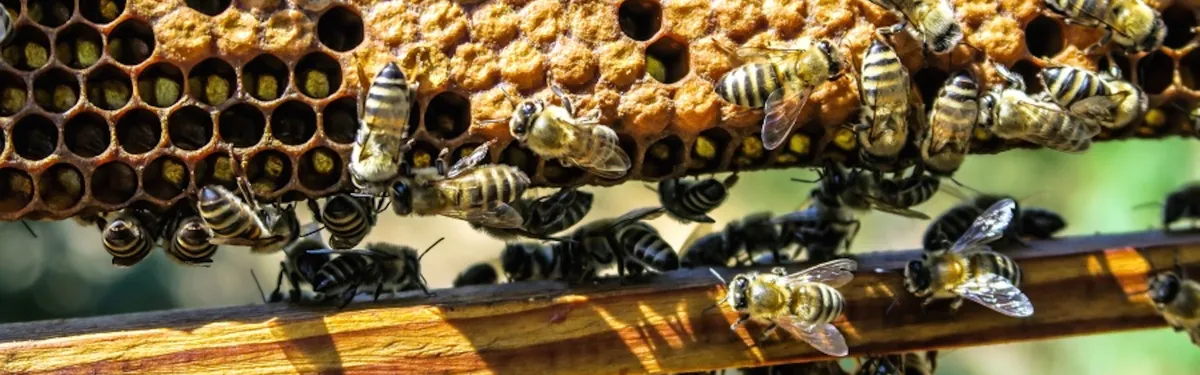 La majorité s’agite pour peser sur le programme de son probable futur candidat