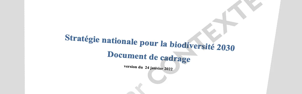 Info Contexte - Le maigre projet de stratégie nationale pour la biodiversité