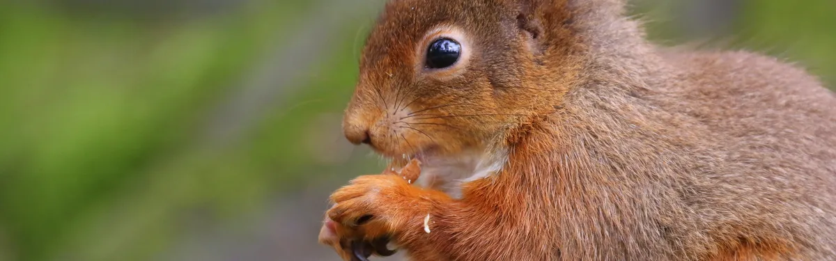Nucléaire : comment l’exécutif veut faciliter le maintien des réacteurs existants