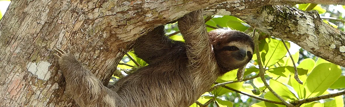 Moins loin et moins vite : la « démobilité », un concept qui avance à petits pas