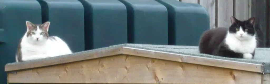 Les places de marché échappent à la surveillance généralisée des produits dangereux