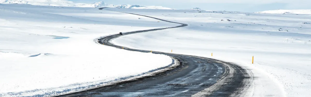Biodiversité : à mi-chemin de la COP15, les négos dans le blizzard