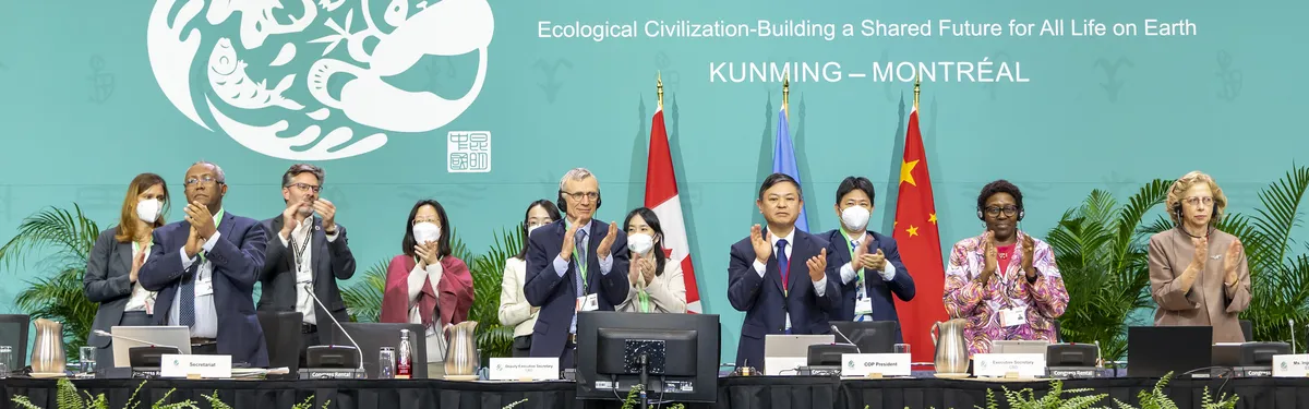 Biodiversité : à la COP15, une autre finale, sans prolongations