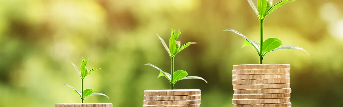 L’humanité a triplement intérêt à massifier son financement en faveur de la nature