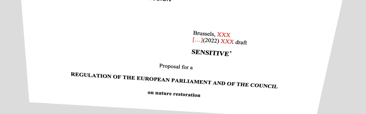 Info Contexte - Comment la Commission européenne veut contraindre les États à restaurer les écosystèmes dégradés