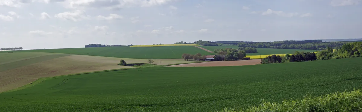 Info Contexte - La Commission durcit son approche sur l’utilisation durable des pesticides