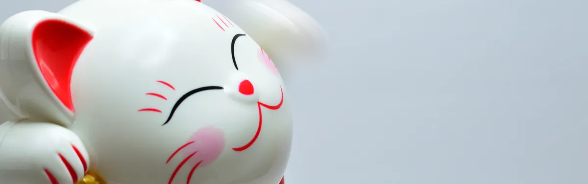 La bonne fortune des friches pour lutter contre l’artificialisation des sols