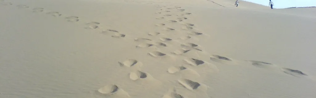 Documents - Les positions convergent de plus en plus entre Parlement et Conseil sur le DSA