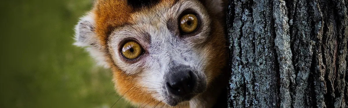 REPowerEU, l’invité de dernière minute des négociations du paquet climat