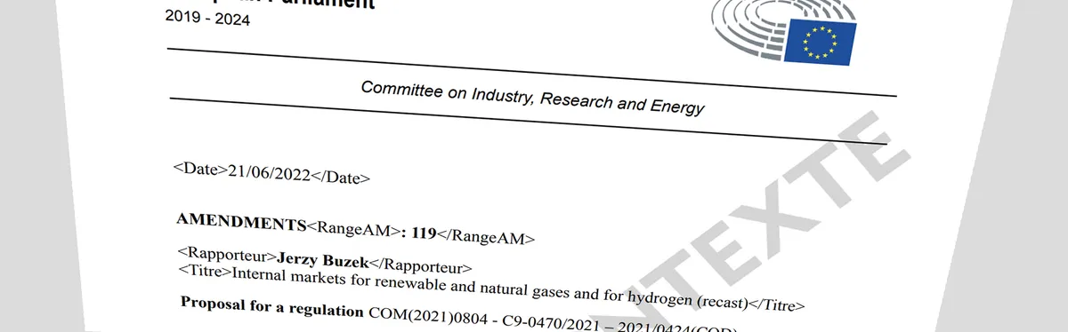 Document - Au Parlement européen, le paquet gazier prend des accents de REPowerEU