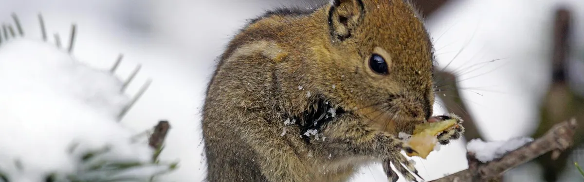 Documents - Comment Bruxelles va limiter la demande de gaz de l’UE pour passer l’hiver