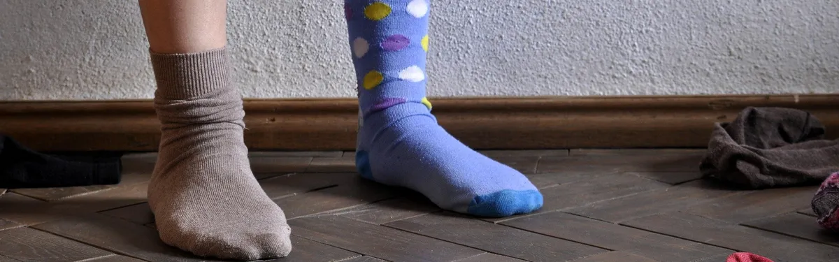 Agrivoltaïsme : une définition sur un champ miné d’incertitudes