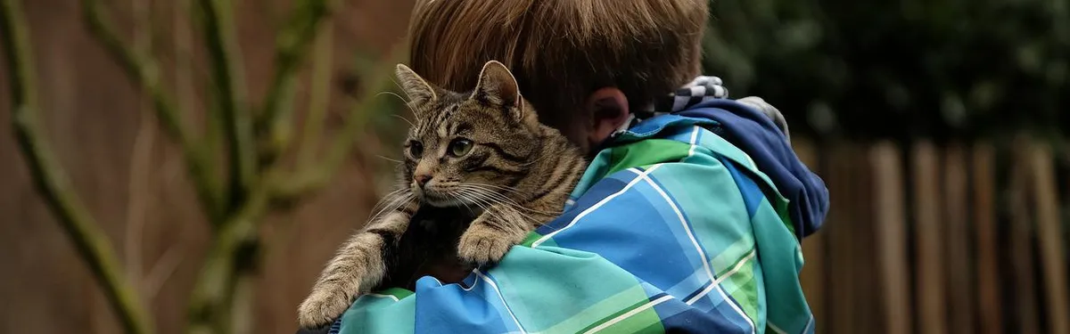 Les doléances oubliées du DSA (1/3) : câlinothérapie pour ayants droit