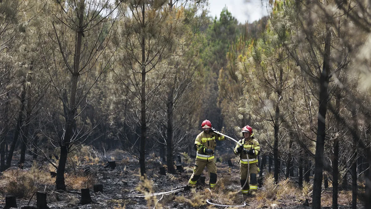L’UE se dote d’un nouvel arsenal pour faire face à la criminalité environnementale