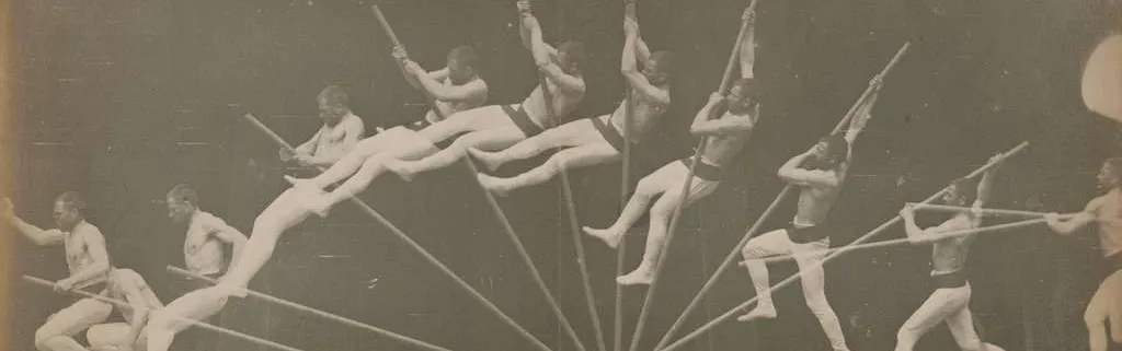 Document - Règlement sur les pesticides : la rapporteure des Verts au Parlement européen place la barre haut