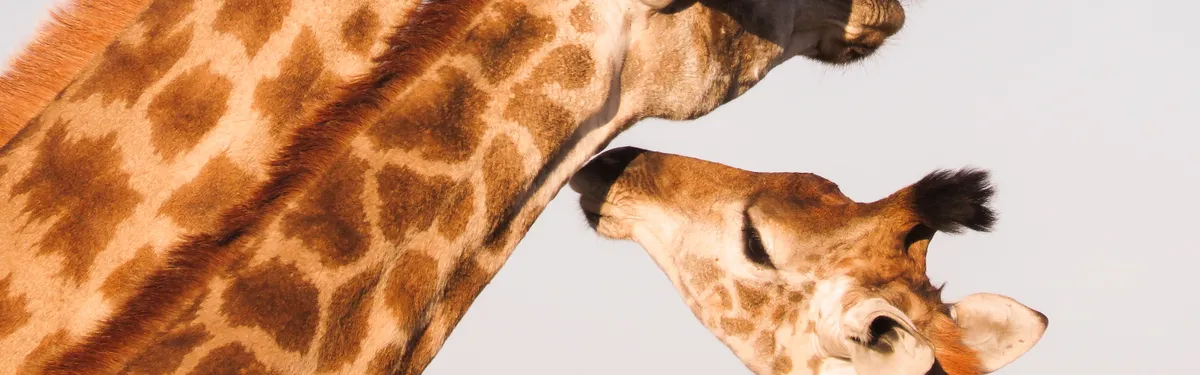 Face à un secteur en crise, un ministère de la Santé sans prise